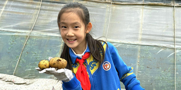 接住土地的秋日邀约！小伦敦陪你找回会唱歌的土豆